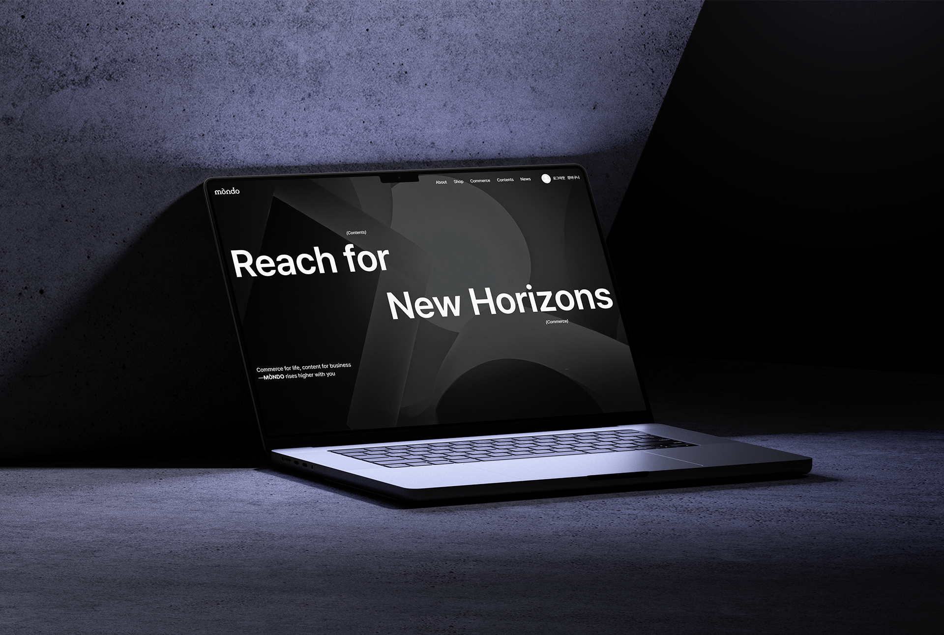 portfolio-process
